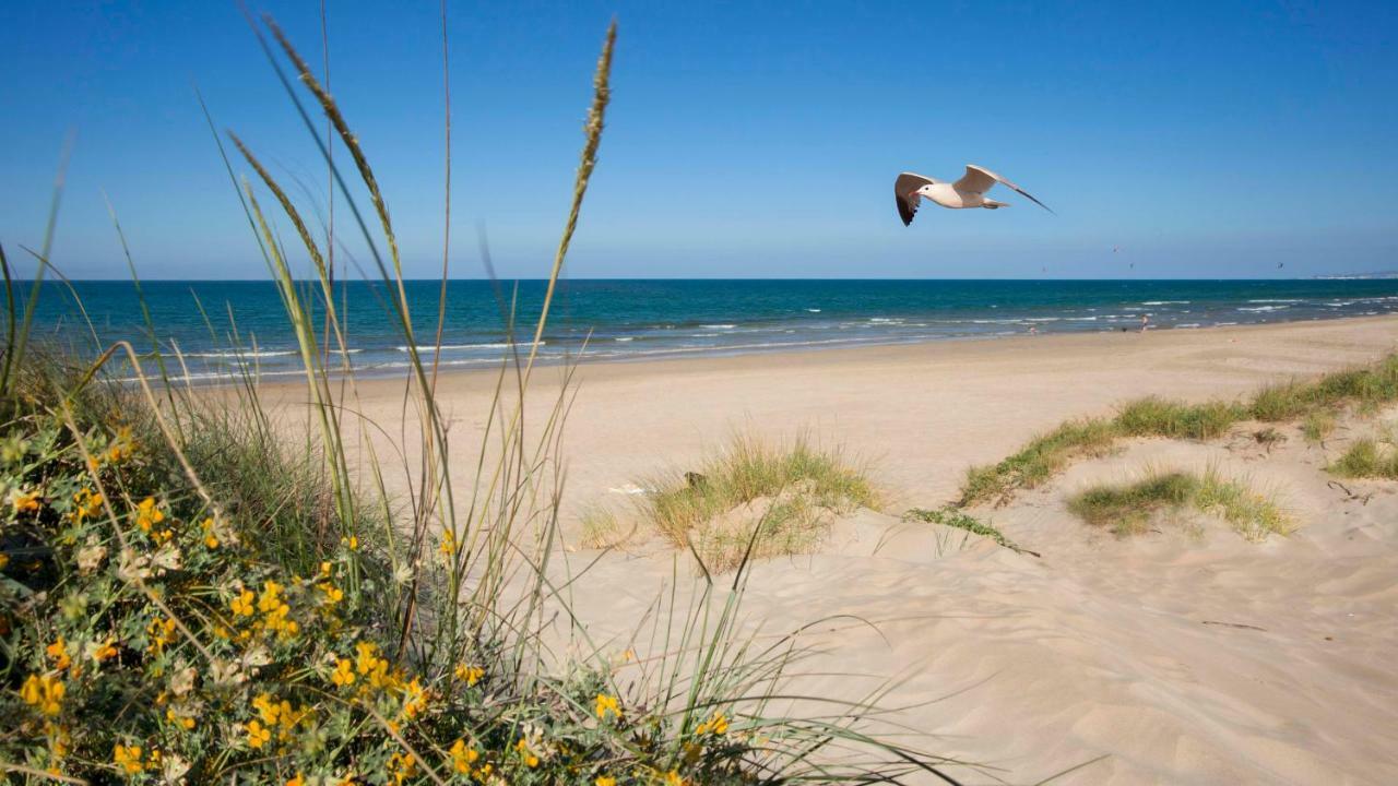 Apartamento Con Piscina Y Vistas Al Mar Aguamarina 36 Oliva Zewnętrze zdjęcie